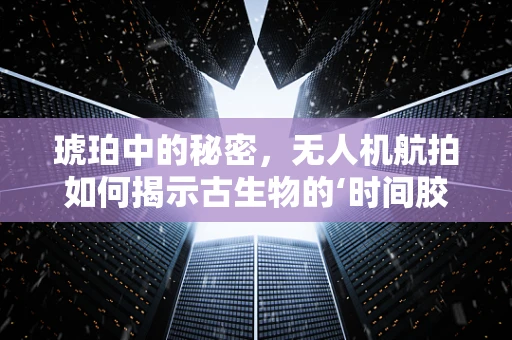 琥珀中的秘密，无人机航拍如何揭示古生物的‘时间胶囊’？