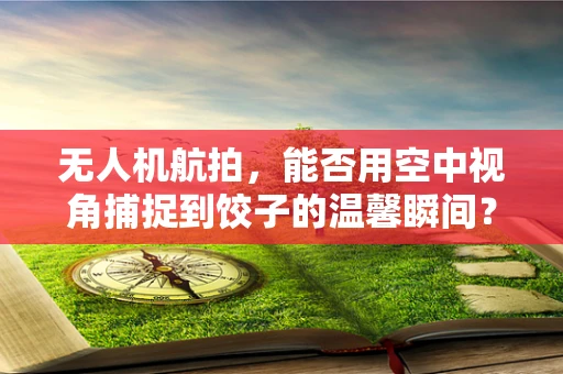 无人机航拍，能否用空中视角捕捉到饺子的温馨瞬间？