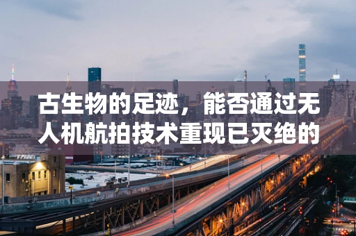 古生物的足迹，能否通过无人机航拍技术重现已灭绝的生物栖息地？