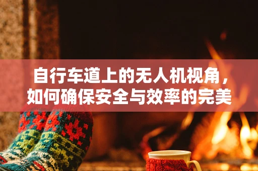 自行车道上的无人机视角，如何确保安全与效率的完美融合？