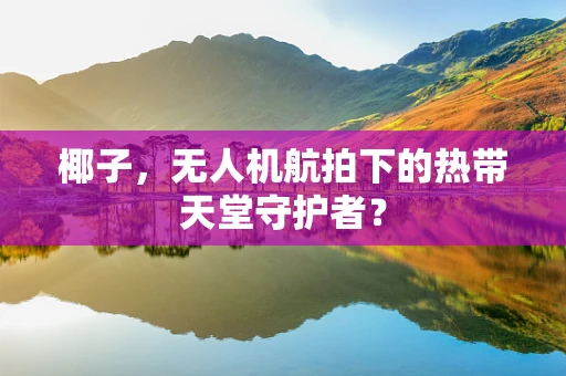 椰子，无人机航拍下的热带天堂守护者？