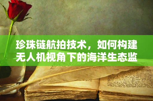 珍珠链航拍技术，如何构建无人机视角下的海洋生态监测网络？