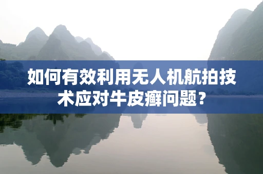 如何有效利用无人机航拍技术应对牛皮癣问题？