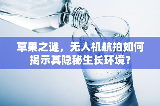 草果之谜，无人机航拍如何揭示其隐秘生长环境？