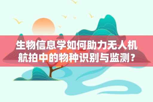 生物信息学如何助力无人机航拍中的物种识别与监测？