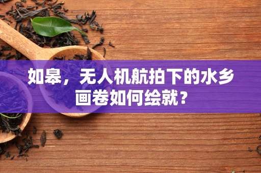 如皋，无人机航拍下的水乡画卷如何绘就？