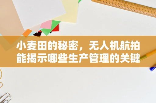 小麦田的秘密，无人机航拍能揭示哪些生产管理的关键信息？