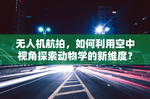 无人机航拍，如何利用空中视角探索动物学的新维度？