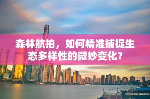 森林航拍，如何精准捕捉生态多样性的微妙变化？