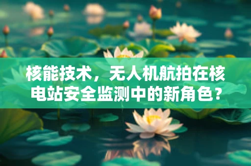 核能技术，无人机航拍在核电站安全监测中的新角色？