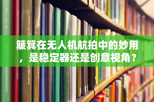 簸箕在无人机航拍中的妙用，是稳定器还是创意视角？