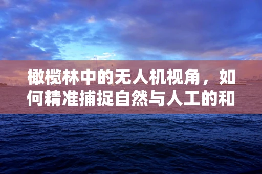 橄榄林中的无人机视角，如何精准捕捉自然与人工的和谐之美？