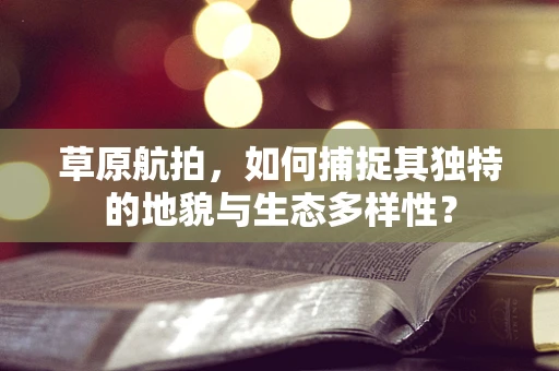 草原航拍，如何捕捉其独特的地貌与生态多样性？