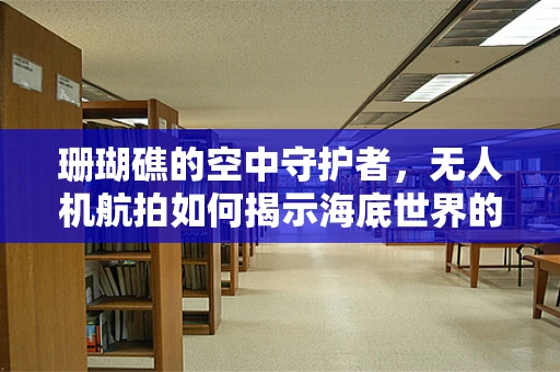 珊瑚礁的空中守护者，无人机航拍如何揭示海底世界的秘密？