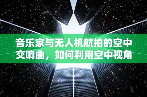 音乐家与无人机航拍的空中交响曲，如何利用空中视角为音乐会增添新意？