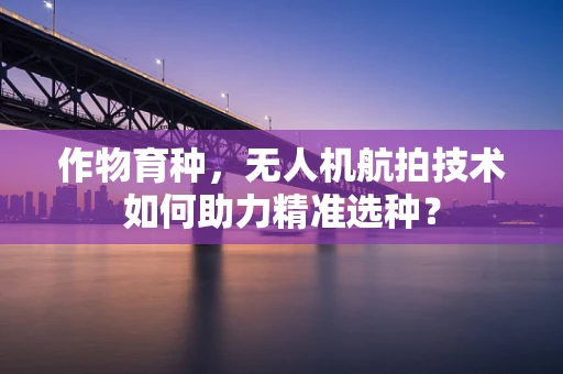 作物育种，无人机航拍技术如何助力精准选种？