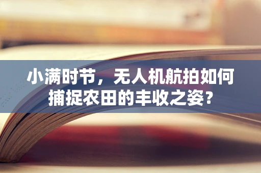 小满时节，无人机航拍如何捕捉农田的丰收之姿？