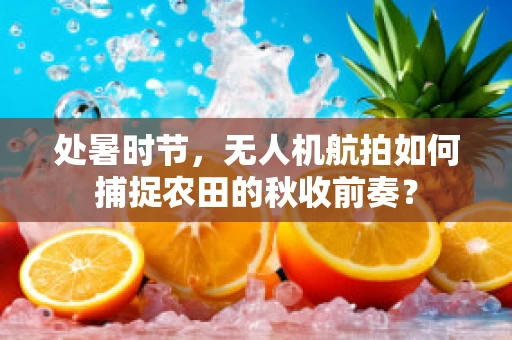 处暑时节，无人机航拍如何捕捉农田的秋收前奏？